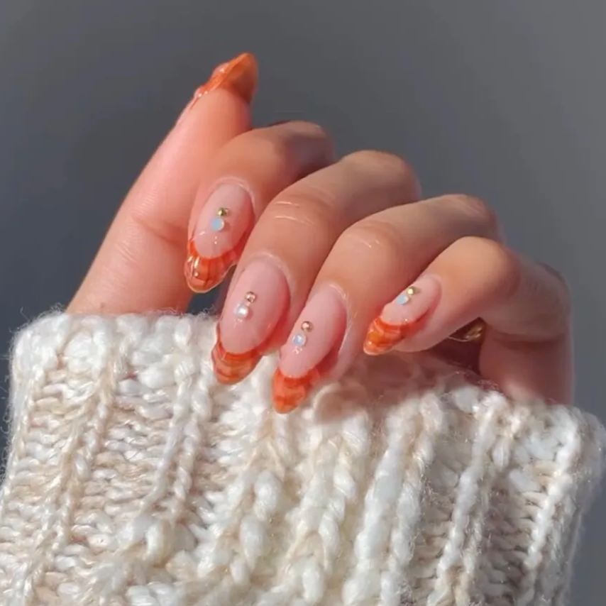 Seashell Frenchies